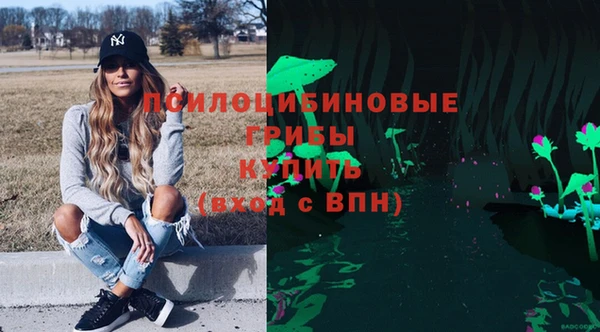 дживик Зеленокумск