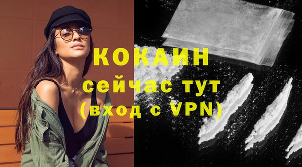 мяу мяу мука Инсар