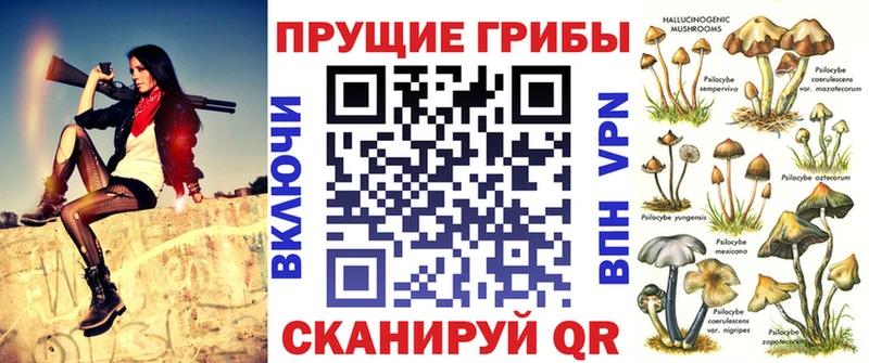 Псилоцибиновые грибы Cubensis  Купить где  Стародуб 