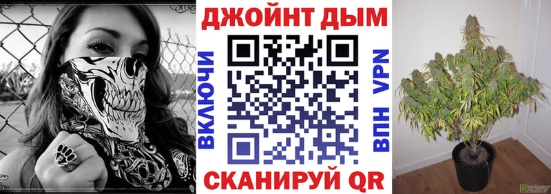 Шишки марихуана VHQ  Купить закладки  Стародуб 